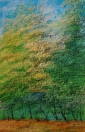 M Ibrahim 20x30 PAD 2024