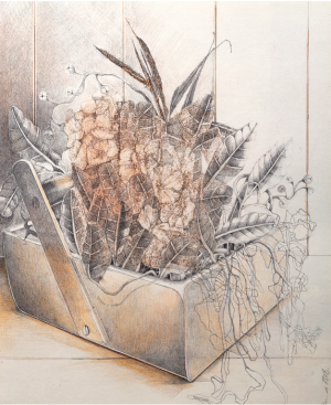 Mona Naqsh 11.7x16.5 Oil on Paper